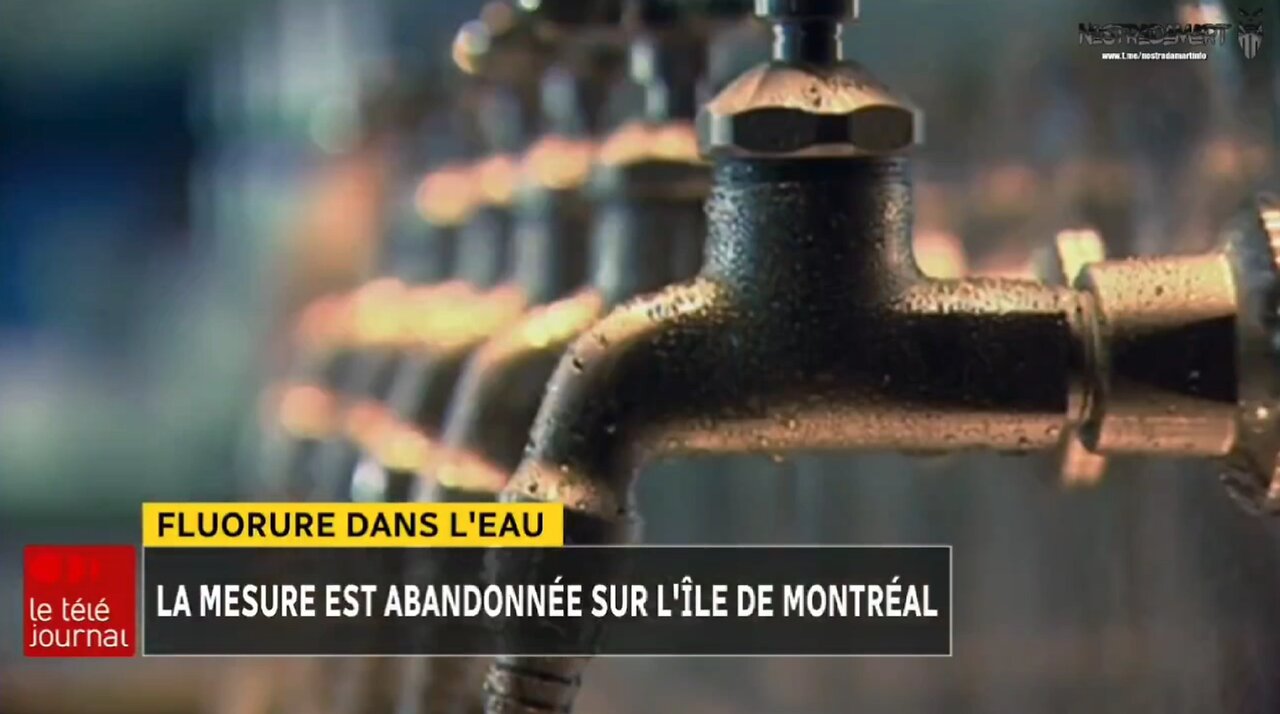 Fluor dans l'eau de Montréal, Victoire des complotistes