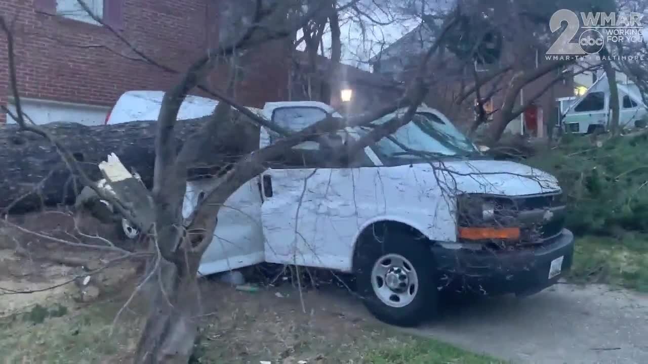 Heavy winds cause tree to fall, crushing van in Catonsville