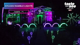 Sylvan Ramble Lights in Tampa | Taste and See Tampa Bay