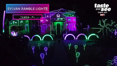 Sylvan Ramble Lights in Tampa | Taste and See Tampa Bay