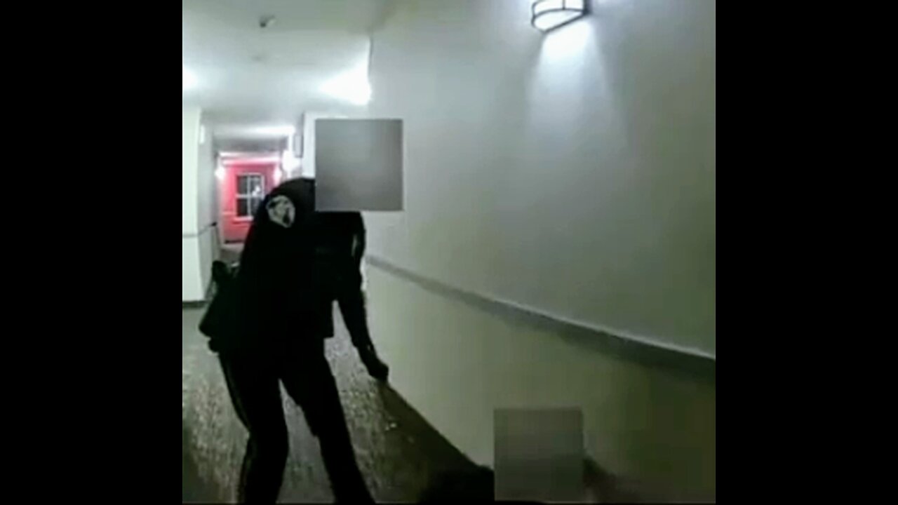 Police get surprised and ambushed in a hotel hallway where they were Shot n stuck with no cover