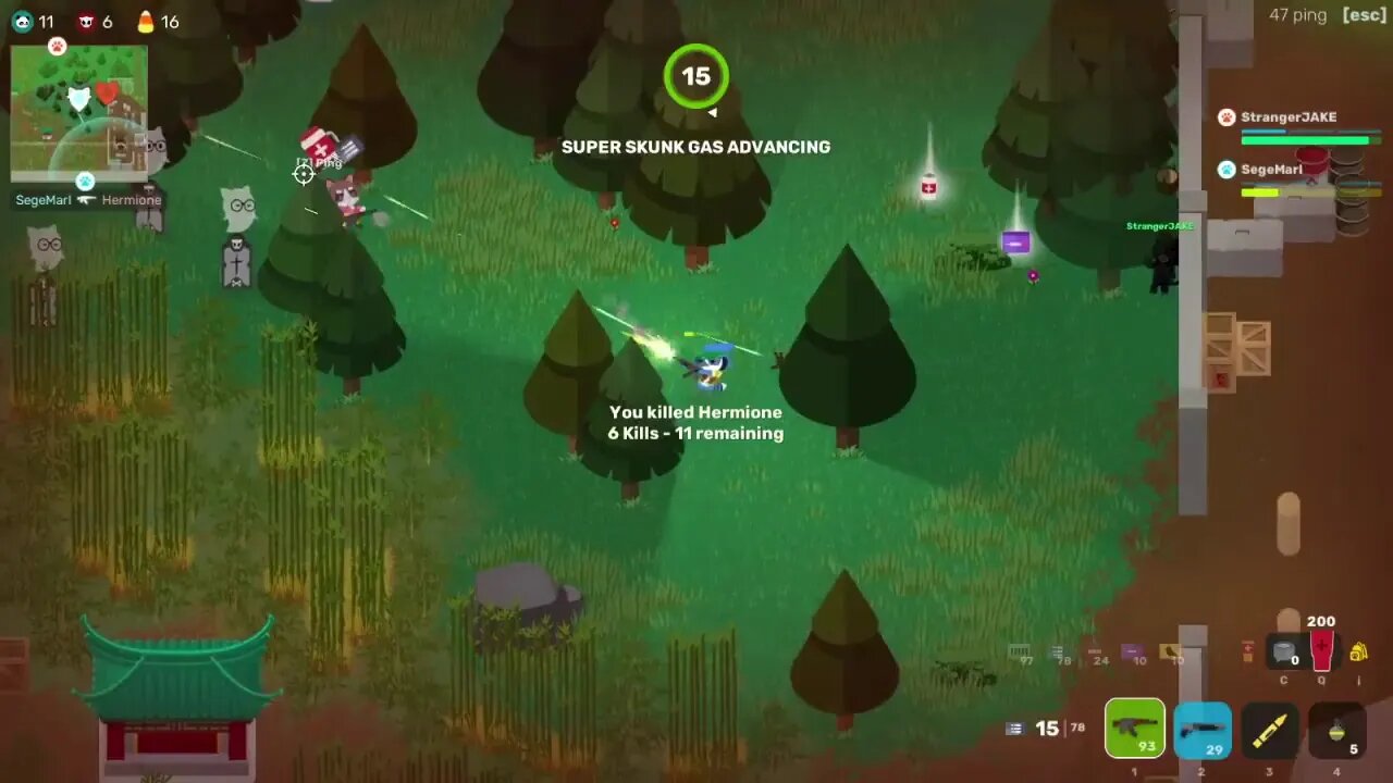 On A Side Note Gaming: Super Animal Royale