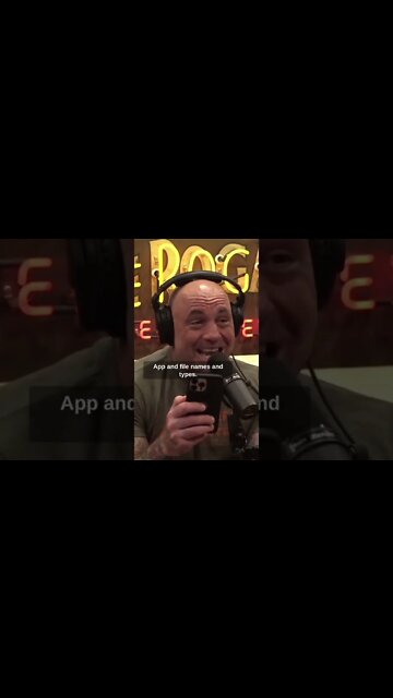 TikToks Terms of Service