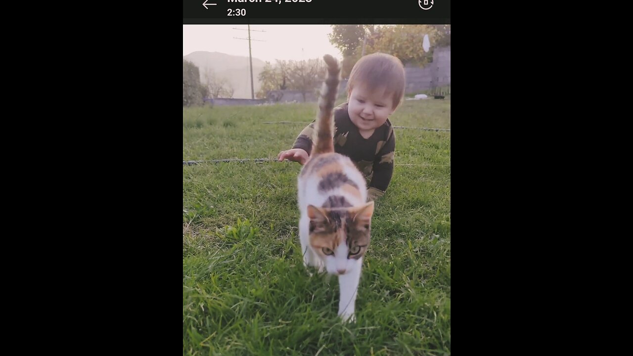 Adorable Duo: My Cute Baby and Playful Cat.