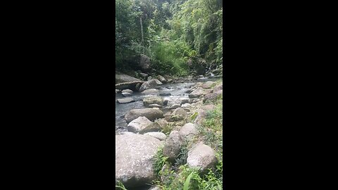Wonderful nature around Valencia