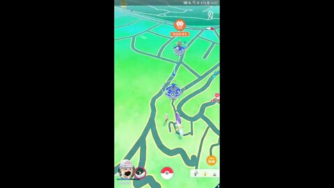 Live de Pokémon GO