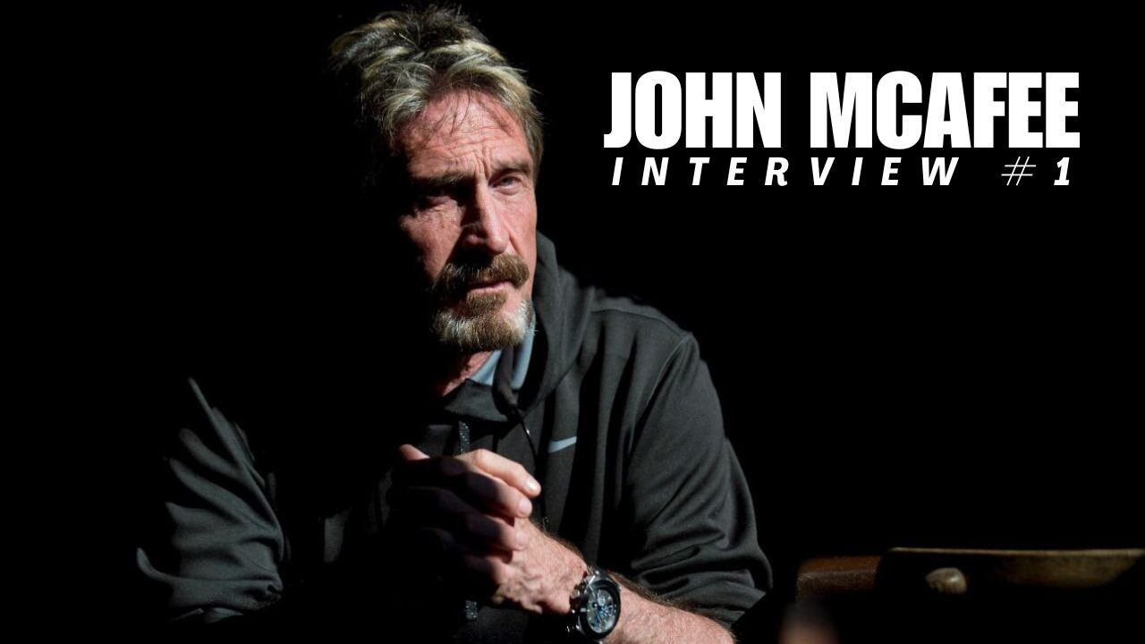 John McAfee Interview #1