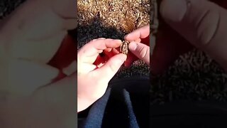 metal detecting jewelry #shorts