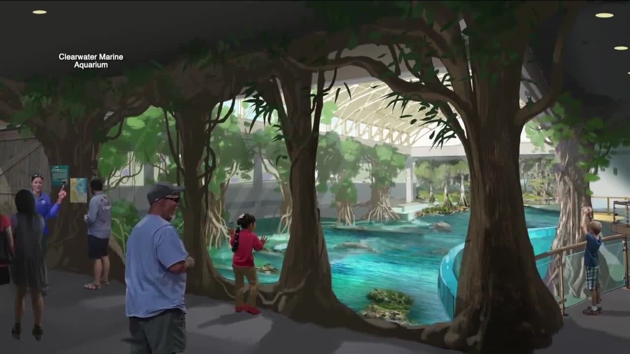 Manatee death total could top 2021's record of 1,100