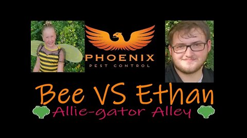 Bee VS Ethan |Allie-gator Alley 16 #whatbugsme #alliegatoralley
