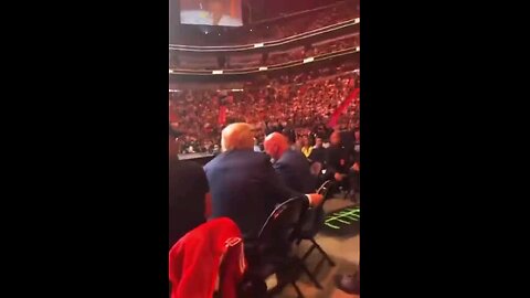 King Trump at ufc