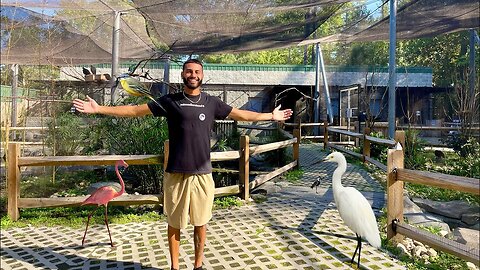 BIGGEST BIRD ZOO IN THE USA