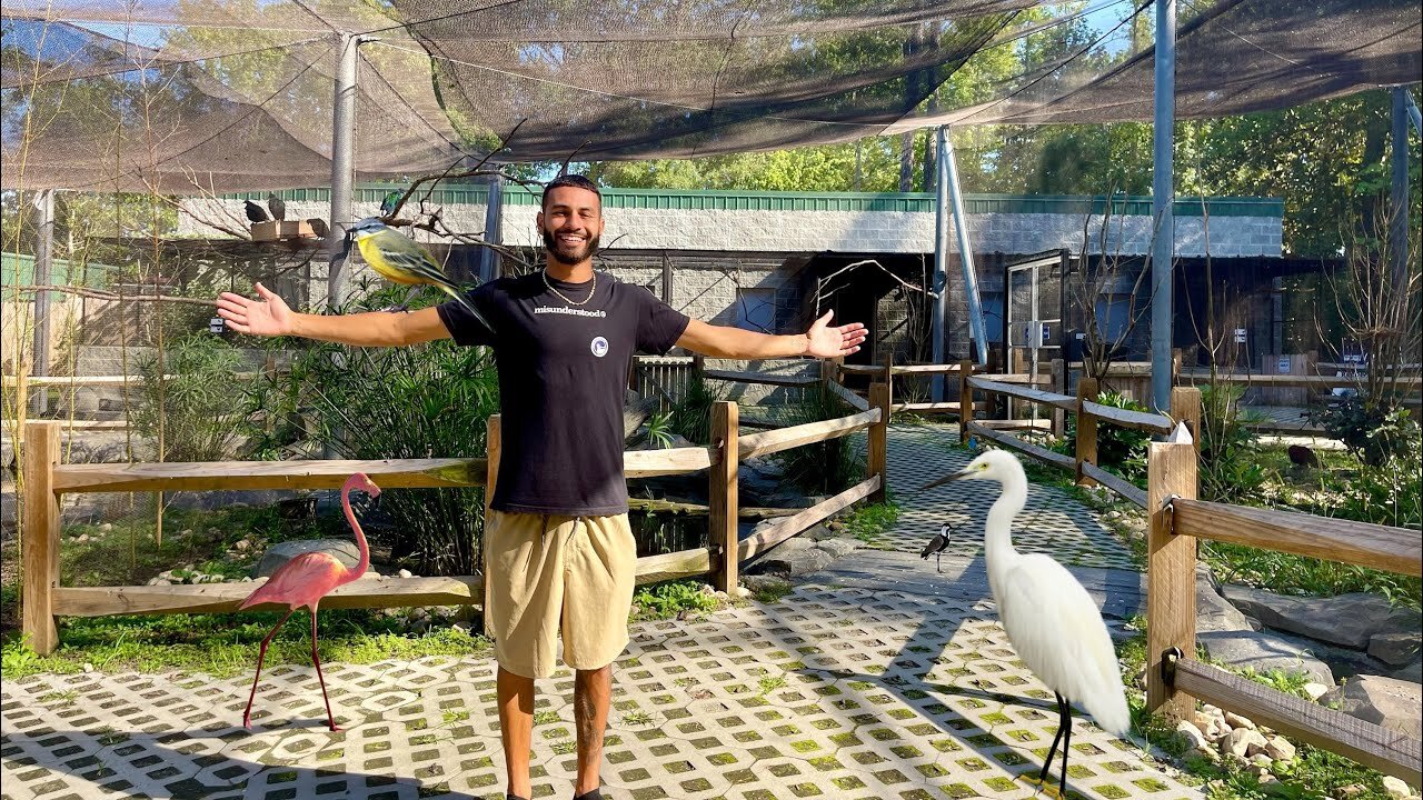 BIGGEST BIRD ZOO IN THE USA