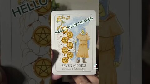 HELLO FROM HEAVEN #tarot #youtube #guidance #love #happy #life