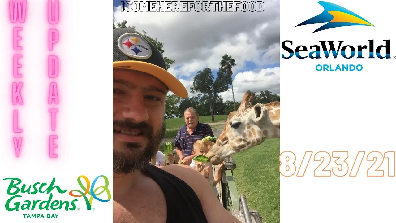 Livestream announcement and Busch Gardens Update Live!