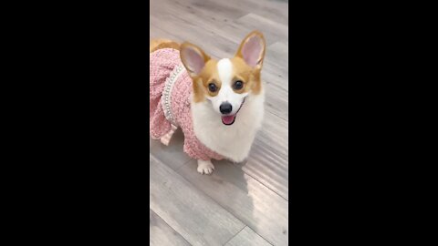 Are you so cute when you wake up