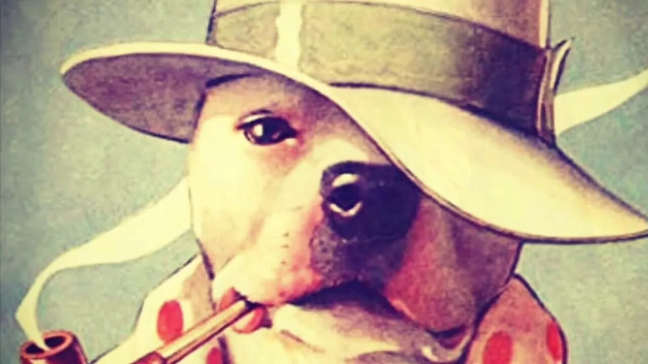 School Day, let’s learn about Sutliff Maple Street