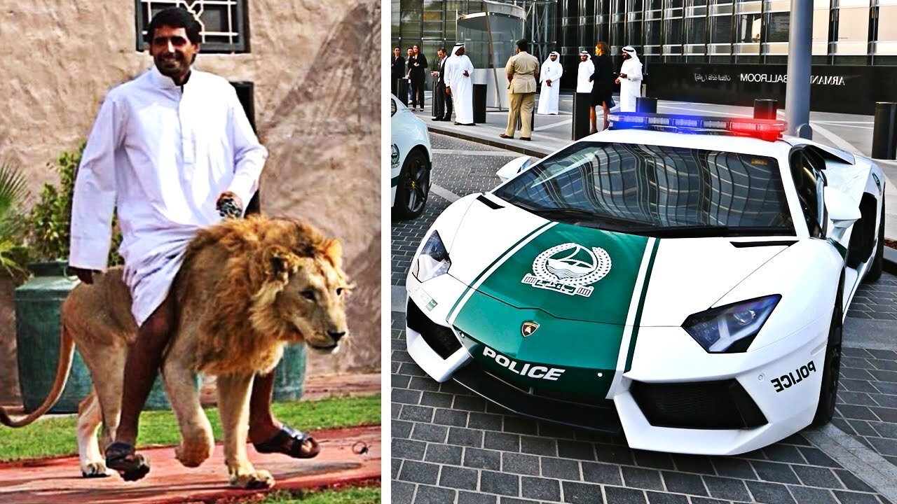 Insane Things You'll Only See In Dubai