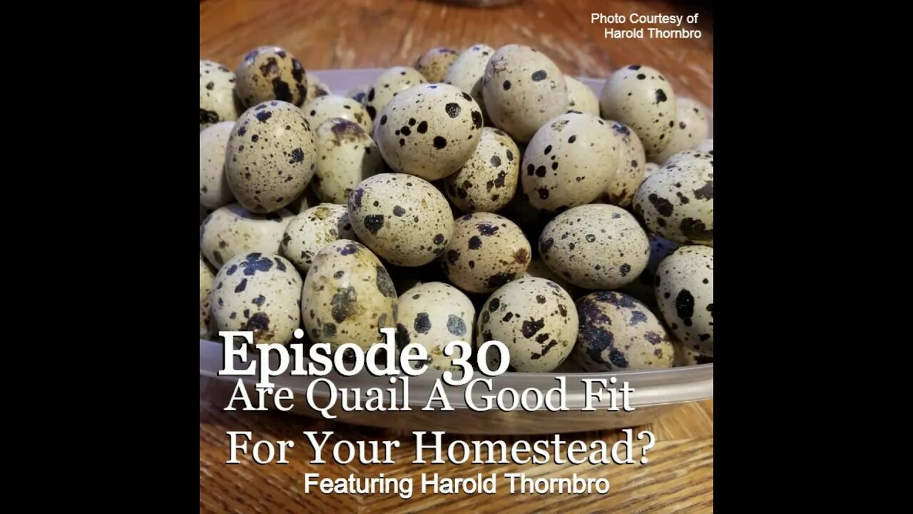 S1E30 Are Quail A Good Fit For Your Homestead? With Special Guest Harold Thornbro