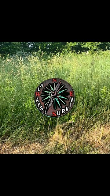 Predator Problem at the Property