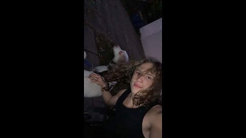Just and dog and his dawg