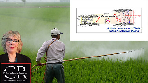 Chemical Warfare Agents Interface with Graphene Oxide Frameworks