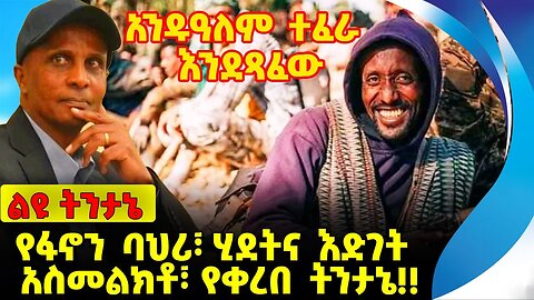 #ethio360#ethio251#fano የፋኖን ባህሪ፣ ሂደትና እድገት አስመልክቶ፣ የቀረበ ትንታኔ❗️❗️ Fano |Amhara |Abiy Ahmed Sep-27-23