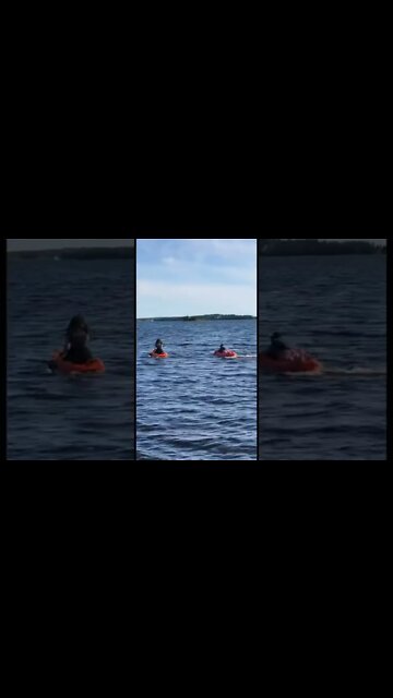 Kayaking without a paddle 😂😂