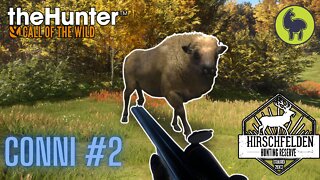 The Hunter: Call of the Wild, Conni #2 Hirschfelden (PS5 4K)