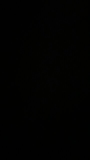 Health insurance premium