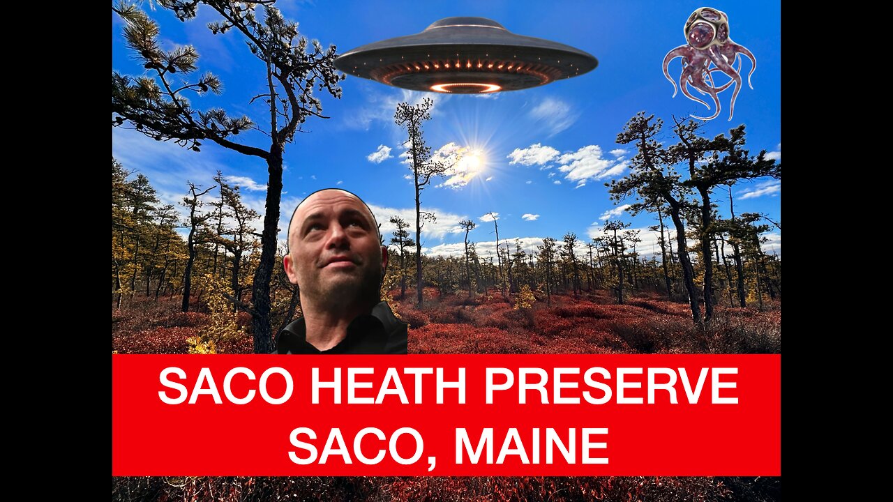 Saco Heath Preserve in Saco, Maine ! Moving to Maine?? Call Liberty Bell Moving & Storage !