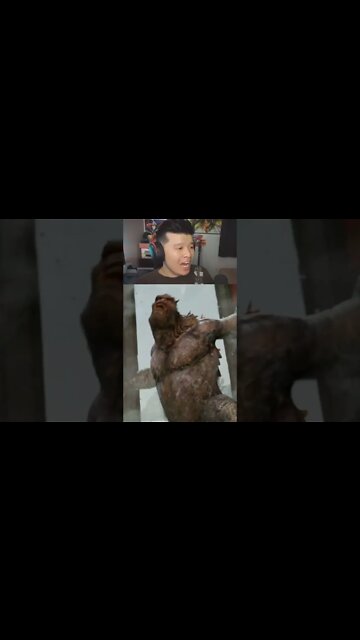 Scared By Stupid APE!