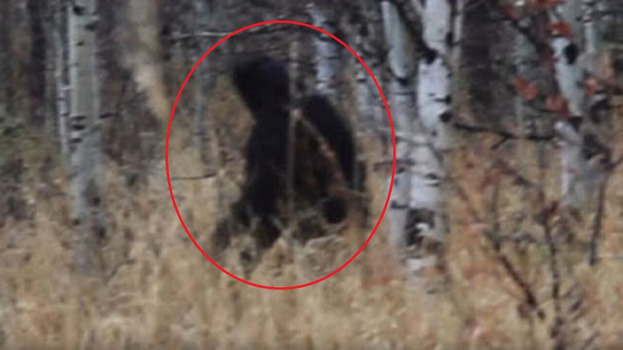 Possible Sasquatch Climmer-Man in Brtish Columbia