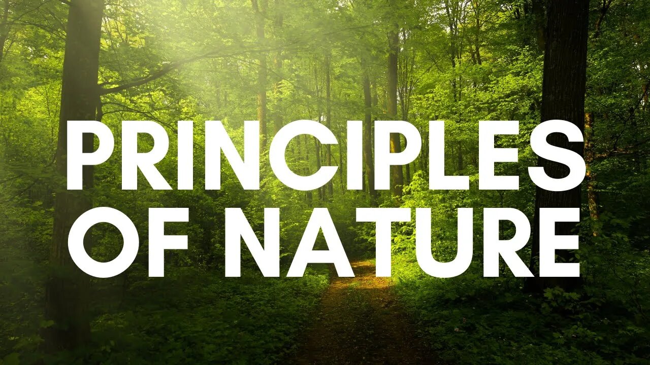 On The Principles of Nature | Chapter 5 Summary, Commentary, and QnA