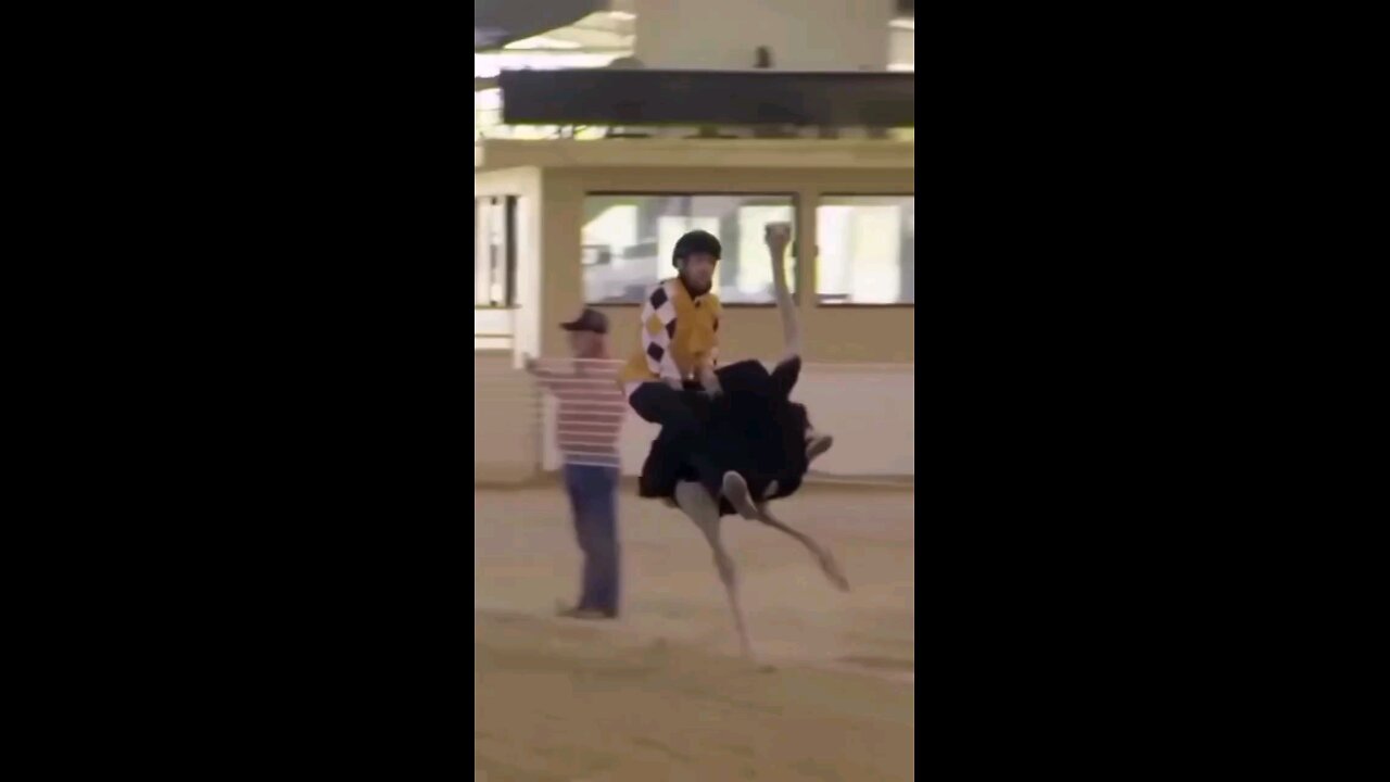 So funny it hurts