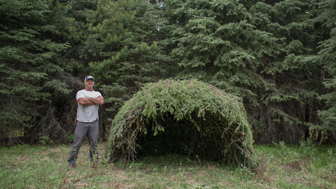 Primitive Bushcraft Survival Shelter - Bender - Full Build