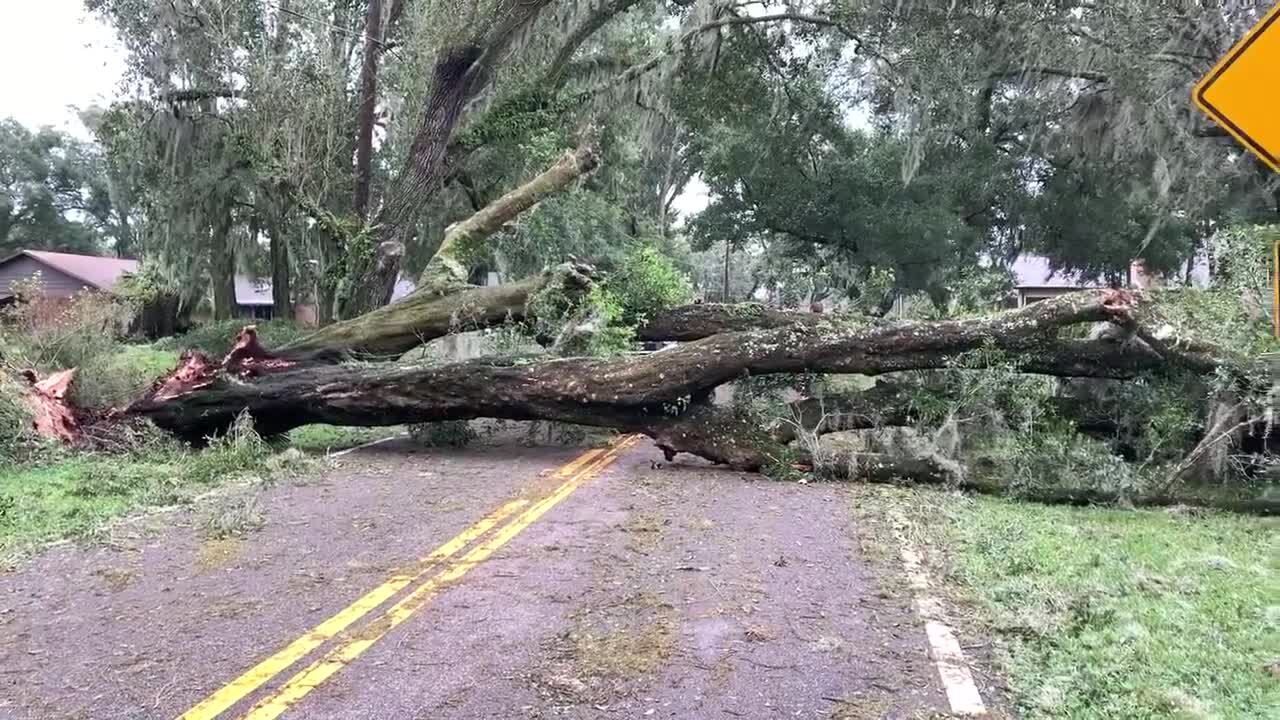 Hurricane Ian Impact | Durant and Dover in Hillsborough County