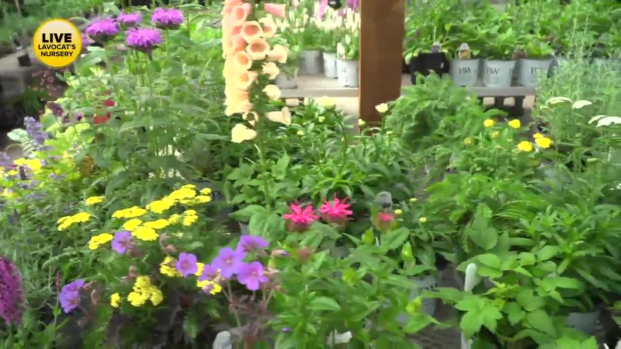 Memorial Day Weekend is the start of planting season - Part 3