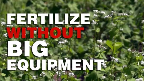 Easily Fertilize Food Plots Without Expensive Equipment