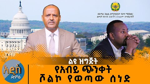 የአብይ ጭንቀት እና ሾልኮ የወጣው ሰነድ