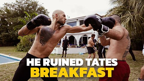 He Ruined Tates Breakfast