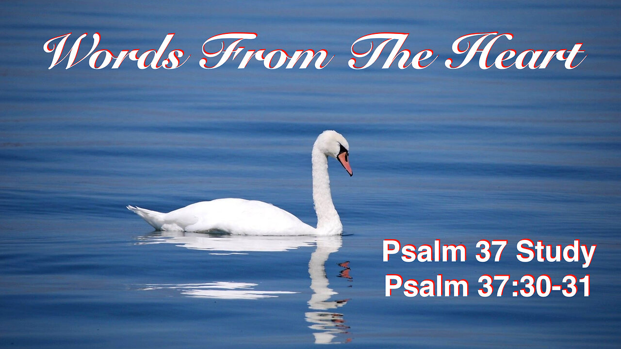 Words From The Heart Psalm 37:30-31