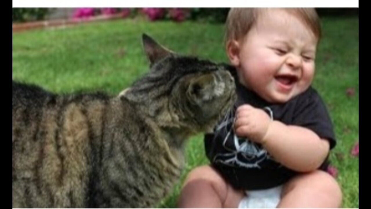 Funny Babies Laughing Hysterically at Cats Compilation (2017)