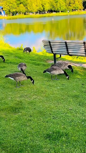 Giggles_With_Samavia