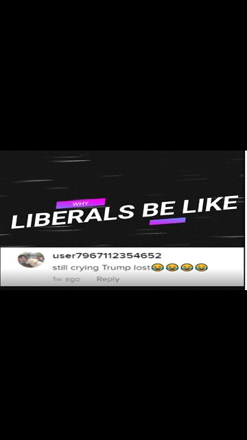 ANYTIME LIBERALS say trump lost send this to them
