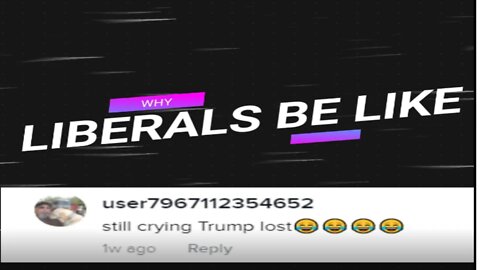ANYTIME LIBERALS say trump lost send this to them