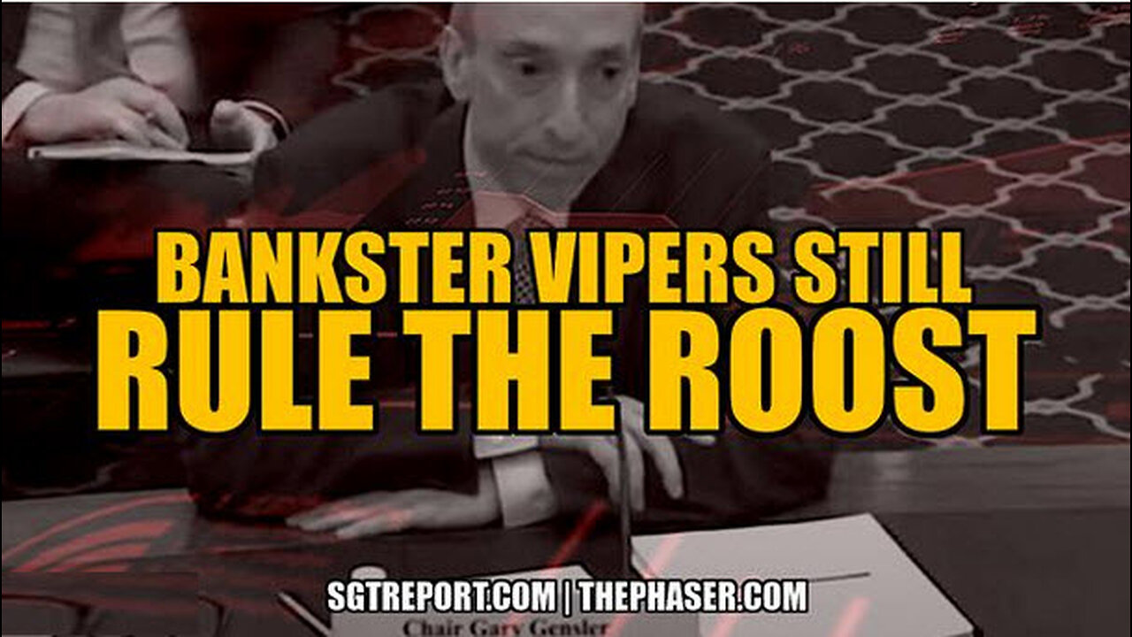 SGT REPORT - BANKSTER VIPERS STILL RULE THE ROOST