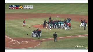 Bench Clearing Brawl At Minor League Baseball Game