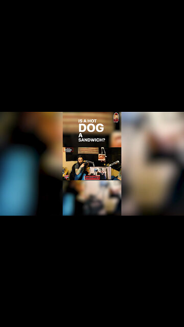 A Hot Dog IS NOT A SANDWICH!!🌭🌭🌭