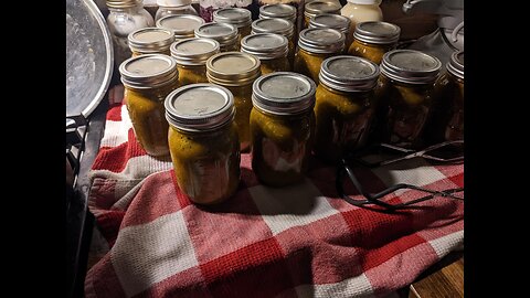 Tomato Harvest In Our Backyard Urban Homestead! Making and Canning Tomato Sauce and Green Sauce!